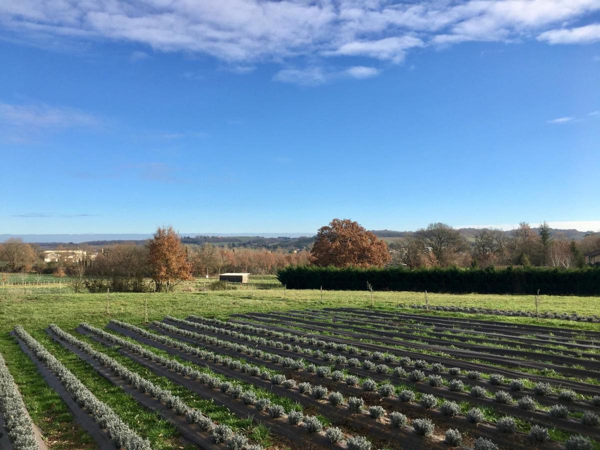 Domaine D'Elusa วิค-เฟซ็องเซ็ค ภายนอก รูปภาพ