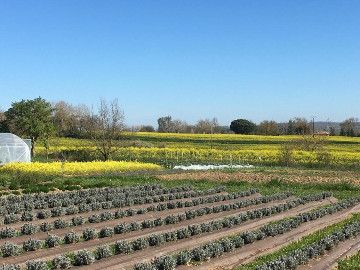 Domaine D'Elusa วิค-เฟซ็องเซ็ค ภายนอก รูปภาพ