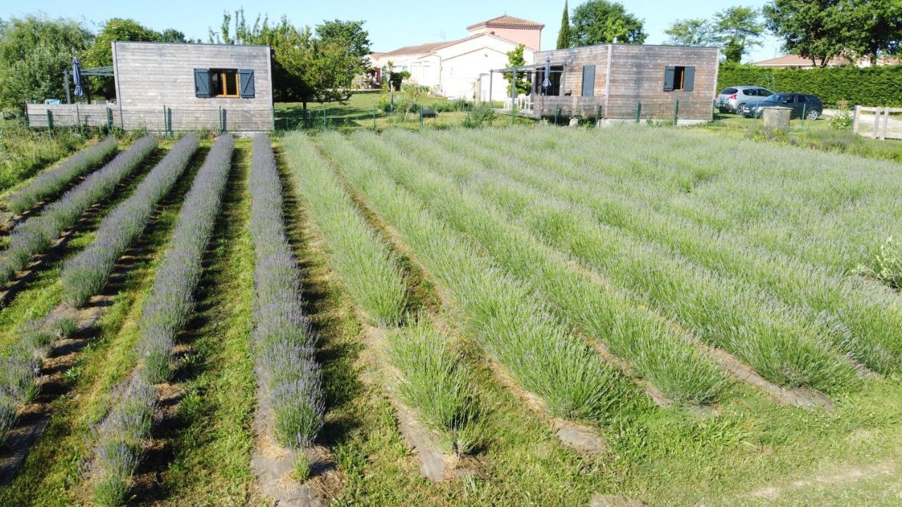 Domaine D'Elusa วิค-เฟซ็องเซ็ค ภายนอก รูปภาพ